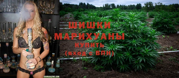 эйфоретик Новокубанск