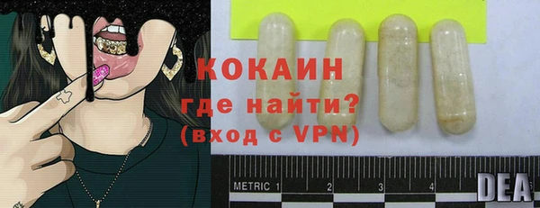 стафф Новозыбков