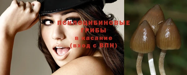 эйфоретик Новокубанск