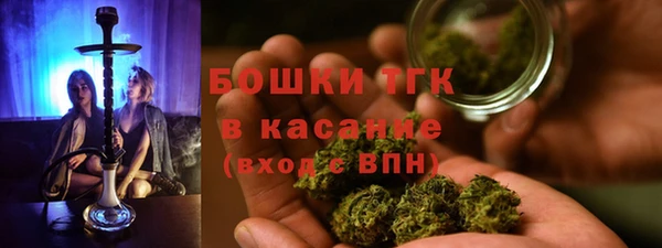 стафф Новозыбков