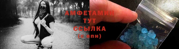 стафф Новозыбков