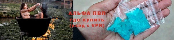 стафф Новозыбков