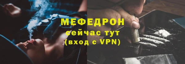 стафф Новозыбков