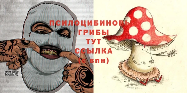 стафф Новозыбков