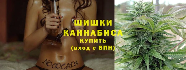стафф Новозыбков