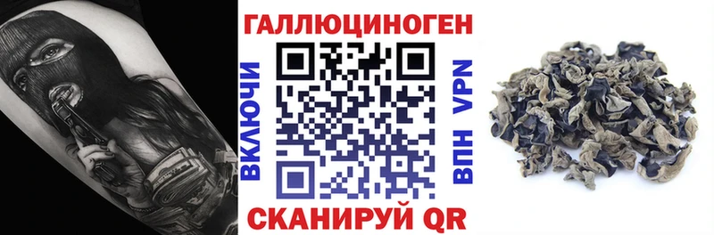 Купить закладки  Саянск  Псилоцибиновые грибы мухоморы 